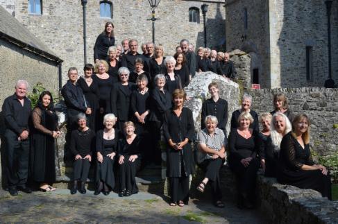 About Côr Dyfed Choir - picture of choir